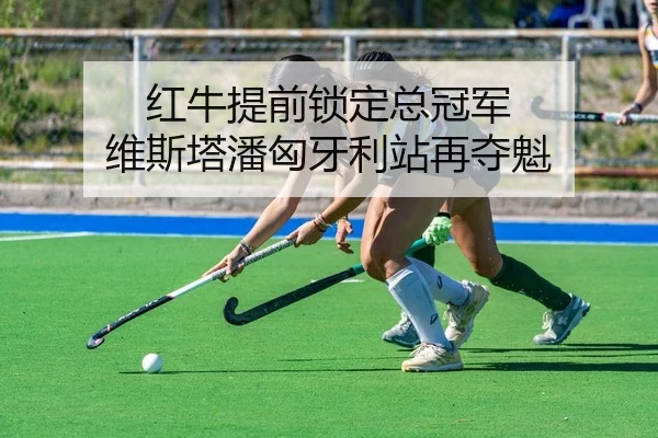 hong-niu-ti-qian-suo-ding-zong-guan-jun-wei-si-ta-pan-xiong-ya-li-zhan-zai-duo-kui-2-101.jpg